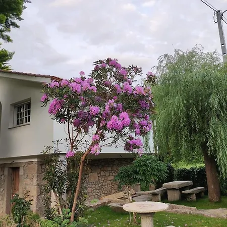 Casa de Férias O Muino *